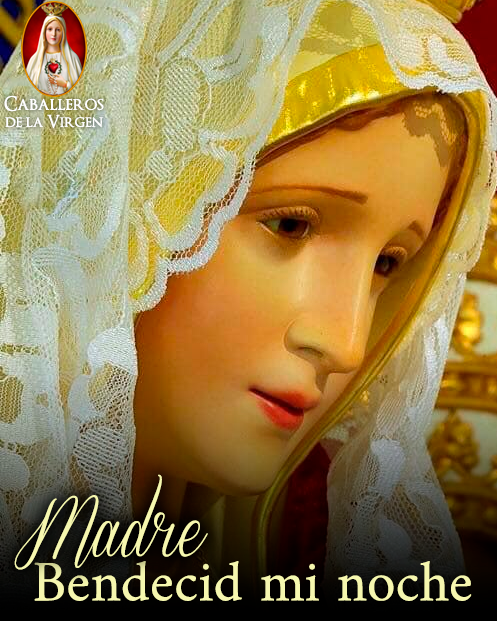 Cab_Virgen's tweet photo. ¡Buenas noches!⁣
⁣
Préstame, Madre, tu manto, para cubrir mi maldad, pues cubierto con tu manto al Cielo he de llegar. https://t.co/z0avu8Z9rW