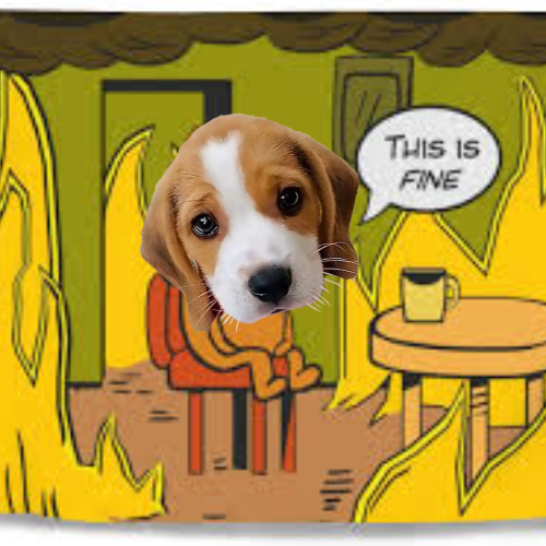 This fine 🔥
#winston