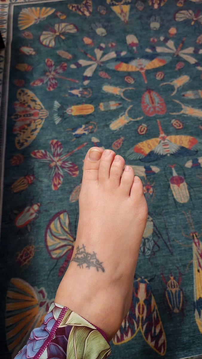 _divergent_x's tweet photo. @Mothsolana $Moth Tattoo $Moth rug https://t.co/Cg8XeunL7G