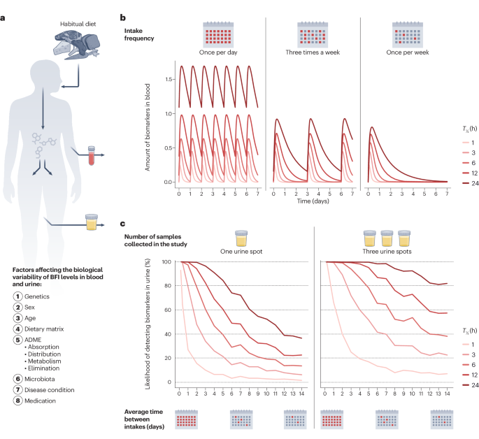 Online now! Towards nutrition with precision: unlocking biomarkers as dietary assessment tools dlvr.it/T94lTq