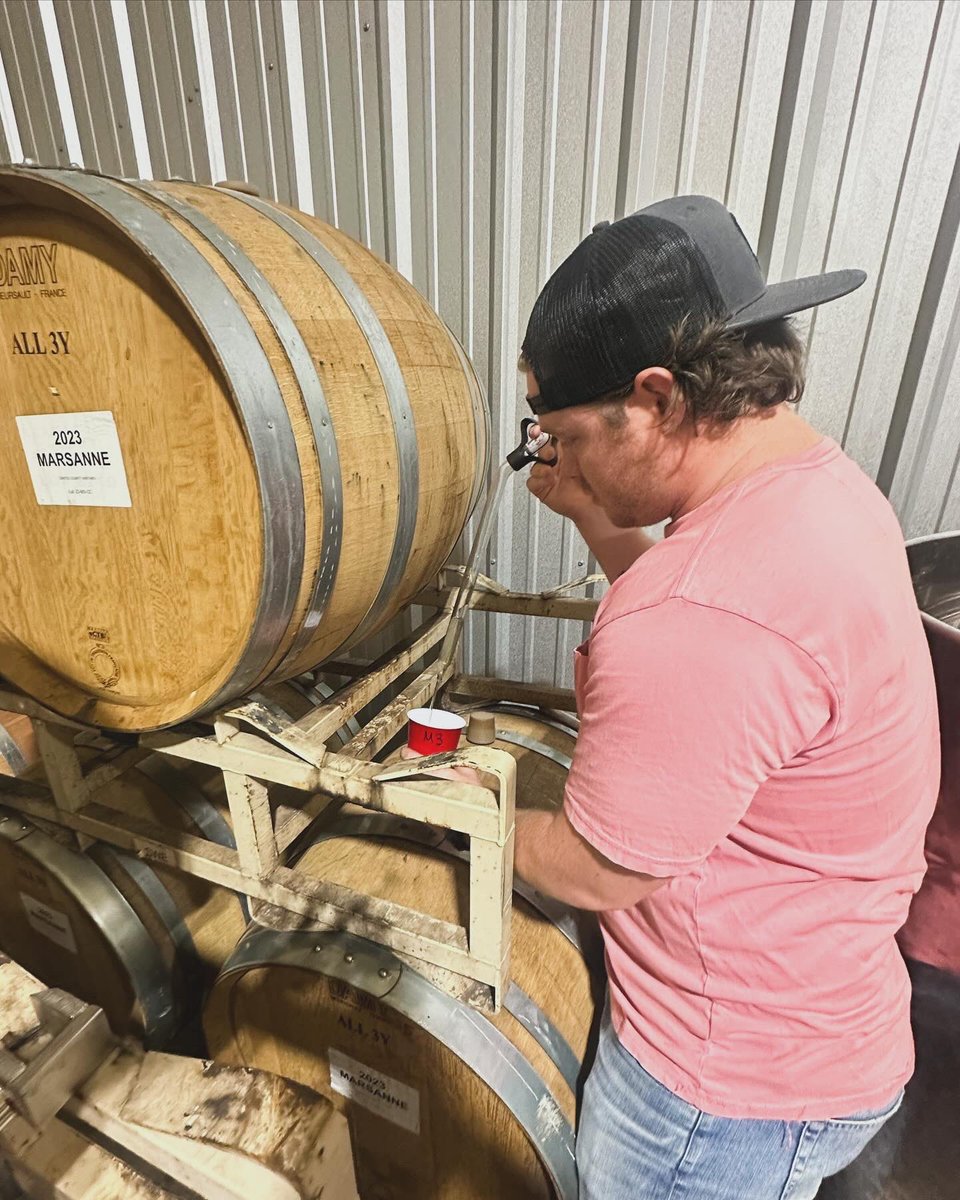 Final blending trials on our remaining 2023 white wines.  Pretty excited to bottle these next week!