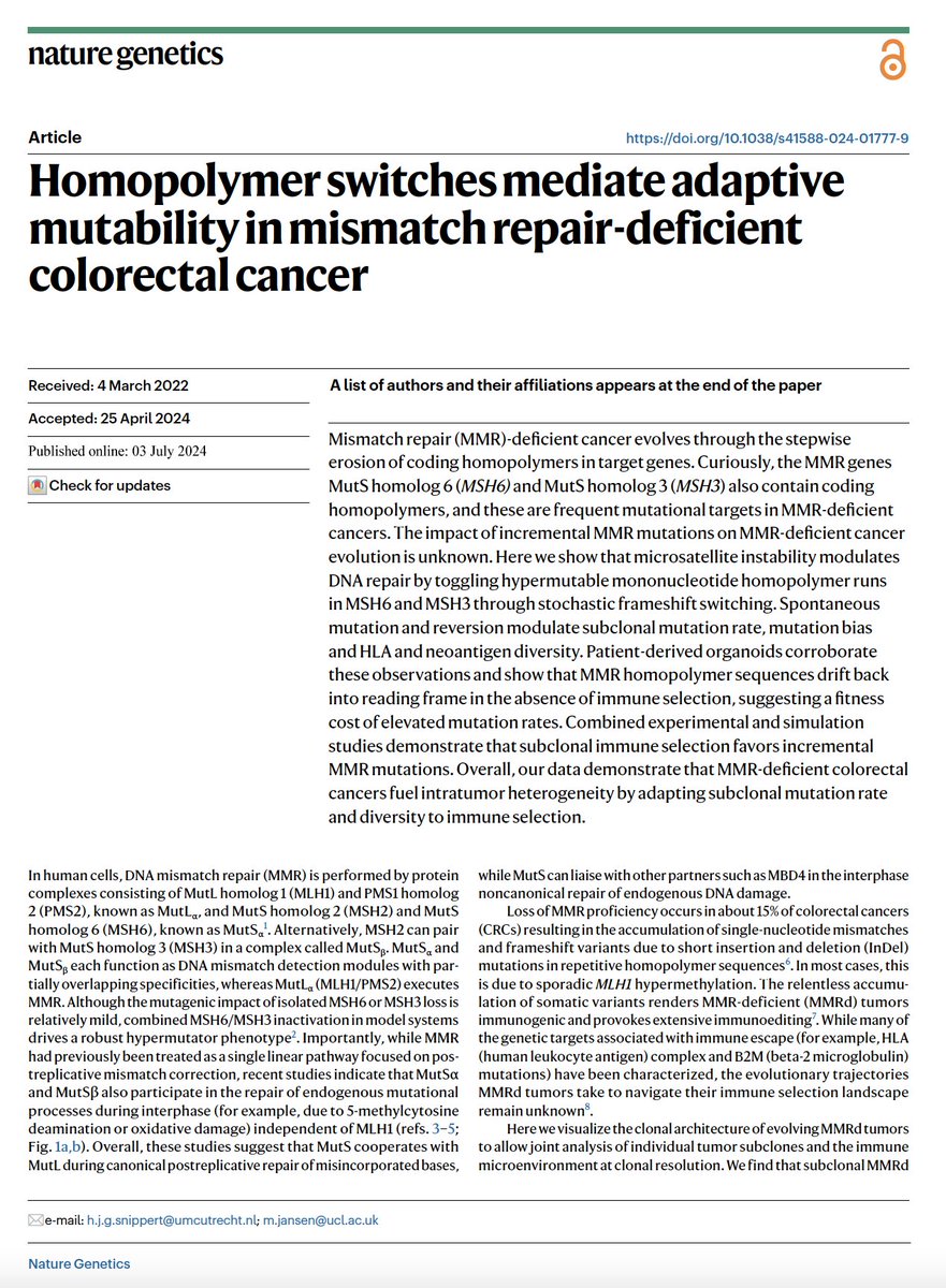 Hamzeh Kay (@hamkay02) on Twitter photo How do mismatch repair-deficient (MMRd) cancers trade off the evolutionary costs and benefits of elevated mutation rates?
Delighted to share our paper on adaptive mutability in MMRd colorectal cancer (CRC) <a href="/NatureGenet/">Nature Genetics</a>
nature.com/articles/s4158…
Tweetorial 🧵below How do mismatch repair-deficient (MMRd) cancers trade off the evolutionary costs and benefits of elevated mutation rates?
Delighted to share our paper on adaptive mutability in MMRd colorectal cancer (CRC) <a href="/NatureGenet/">Nature Genetics</a>
nature.com/articles/s4158…
Tweetorial 🧵below