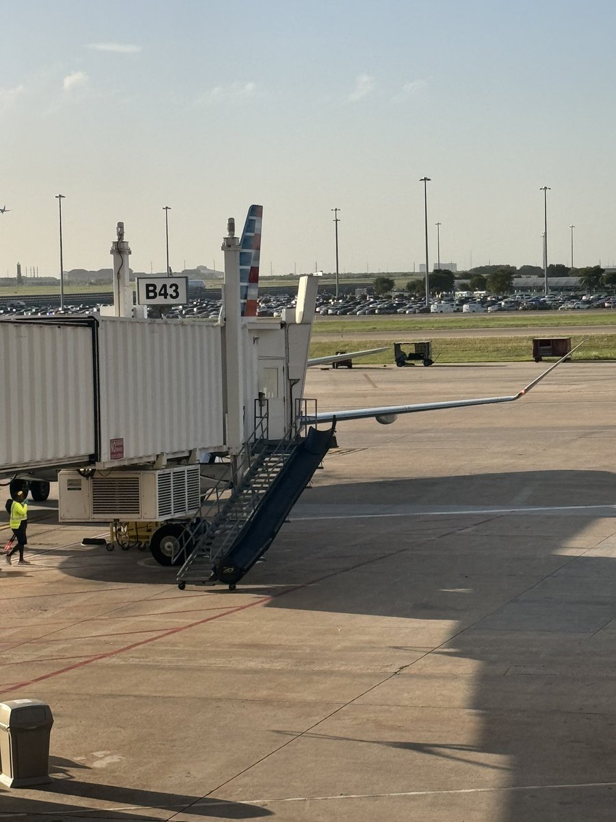 Rose Falcon tweet media