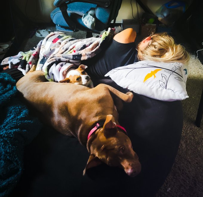 Afternoon naps with the pups are the best part of the day!! https://t.co/VYd8AUzXor