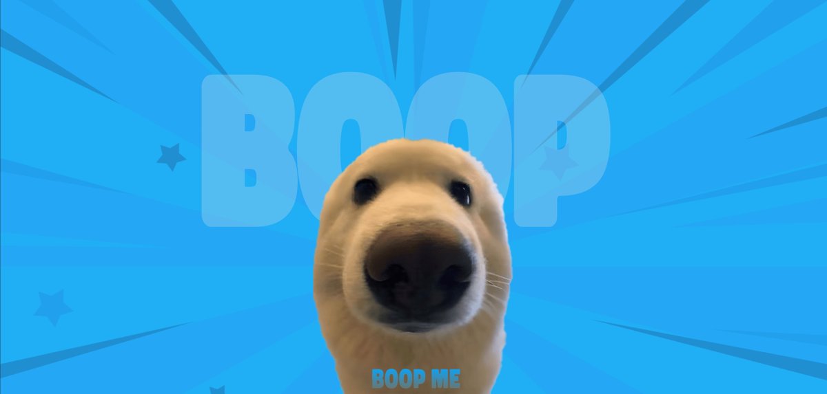 boop's website has been revamped with a fresh new look 👀

boop it🫵🐶
boopthecoin.com