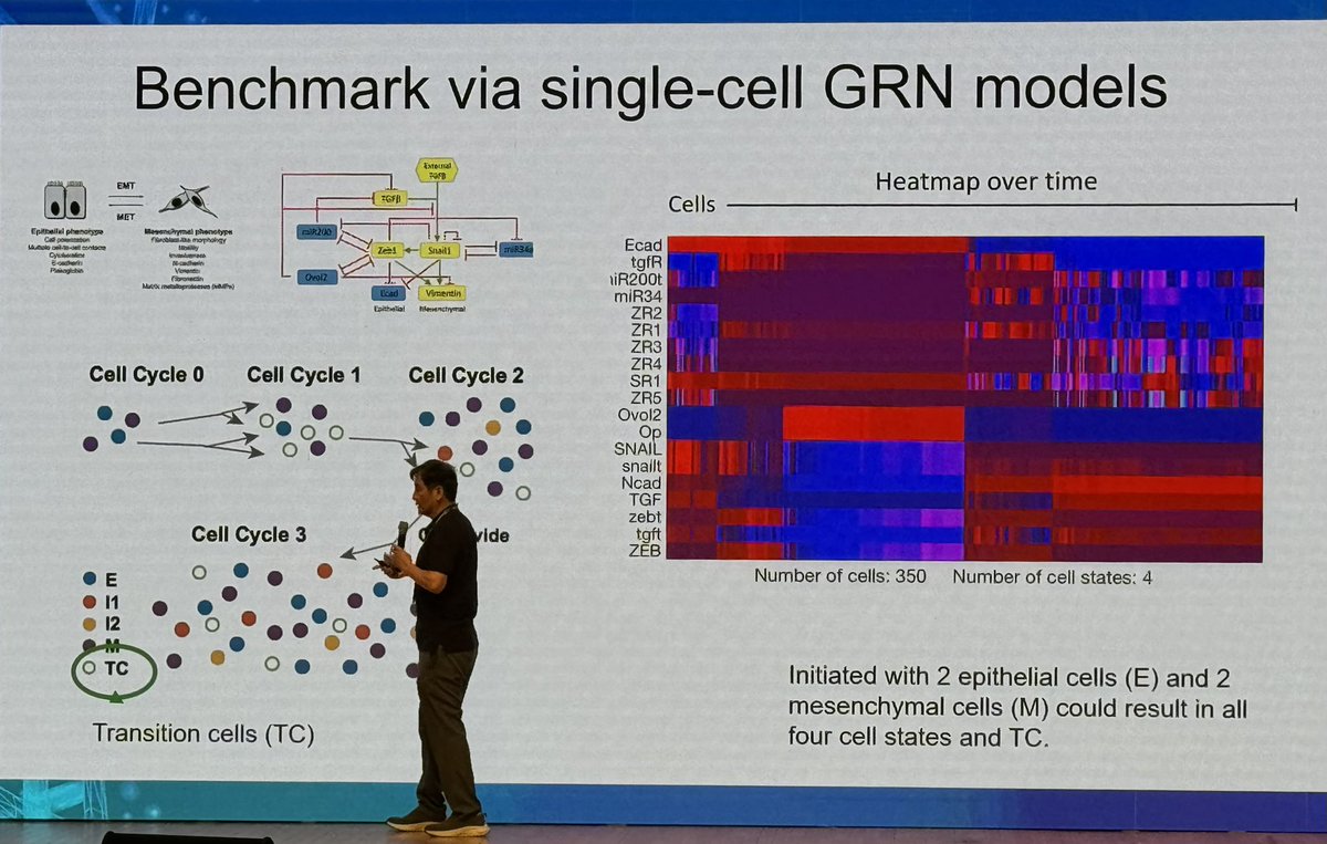 ara_anderson's tweet image. Today’s plenary #smb2024 is Qing Nie giving a beautifully visual presentation on, Multicellular organization: from biophysical models to single-cell genomics #KSMB @ucimath @UCIBioSci