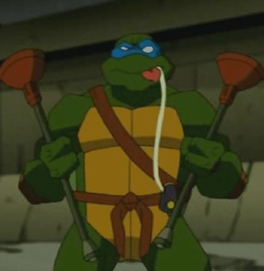 03turtles's tweet photo. https://t.co/DhCYKeuWsi