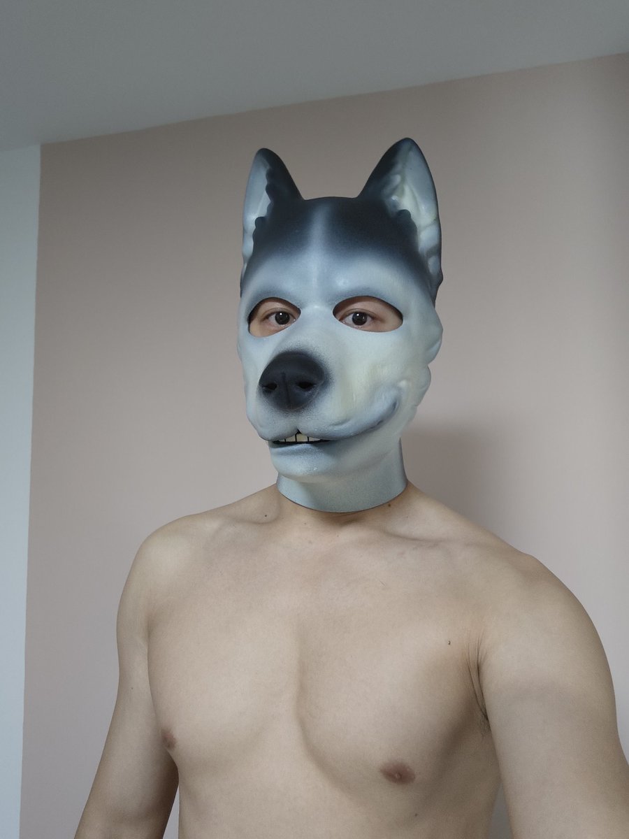 New husky mask from <a href="/PETSUITFORFUN/">PETSUIT ペットスーツ</a>