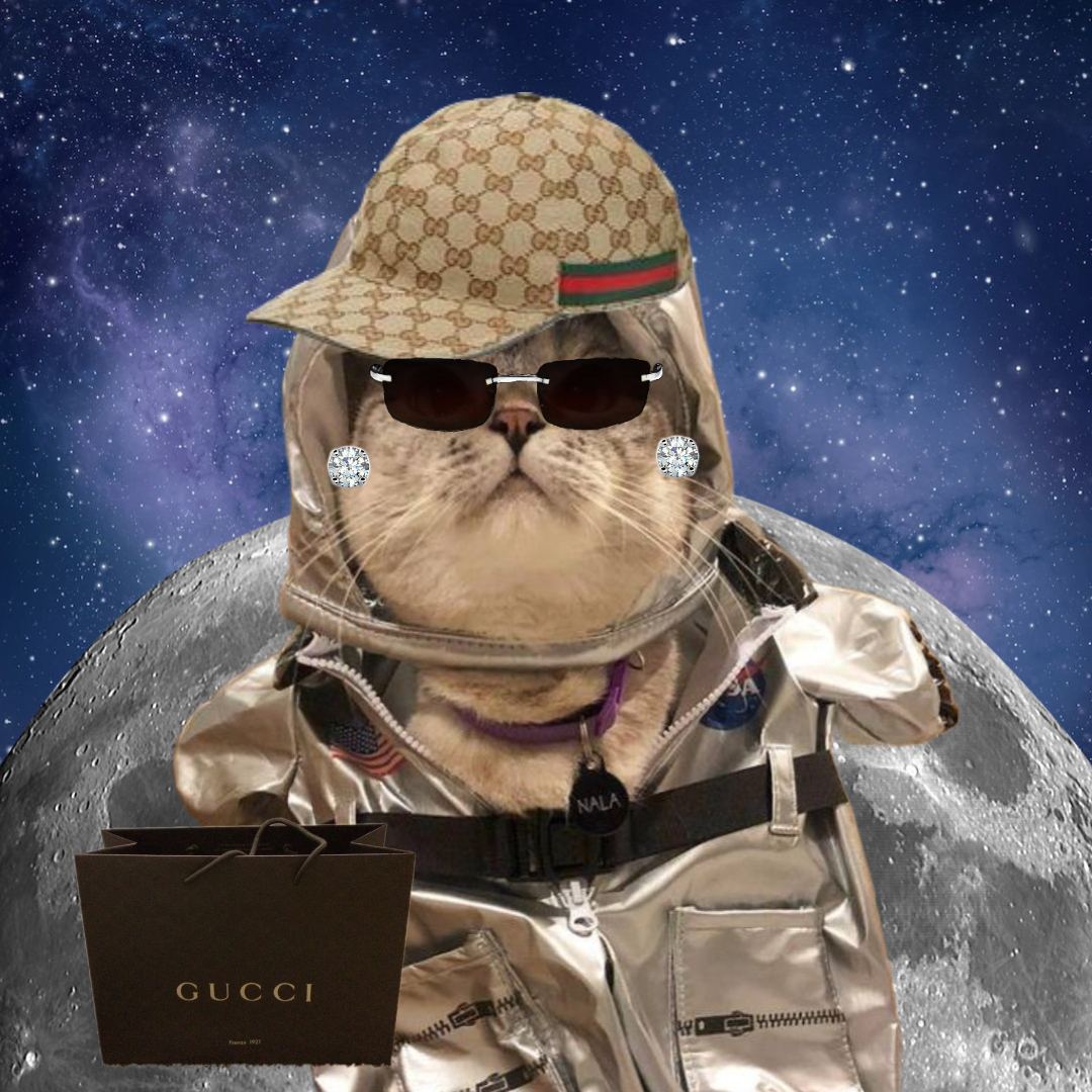 MOON CAT | $MC tweet media