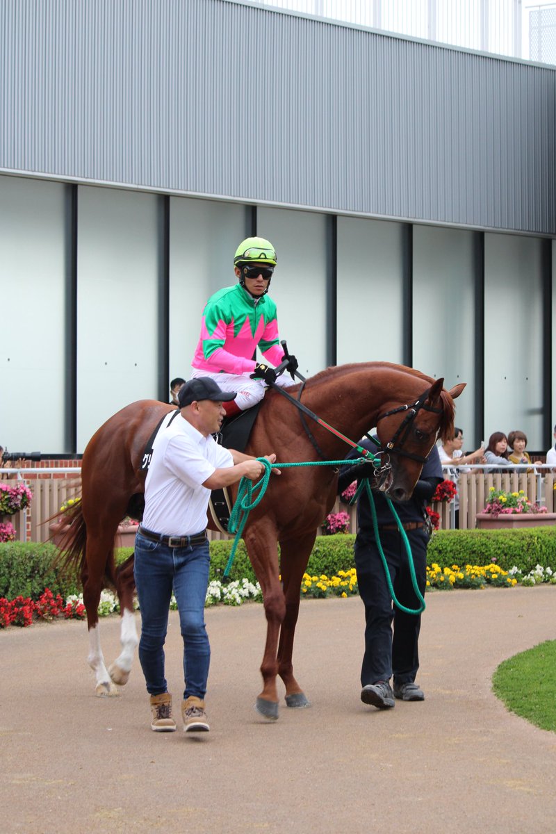 サウンドビバーチェ 実使用ゼッケン ターコイズS（G3）浜中俊騎乗