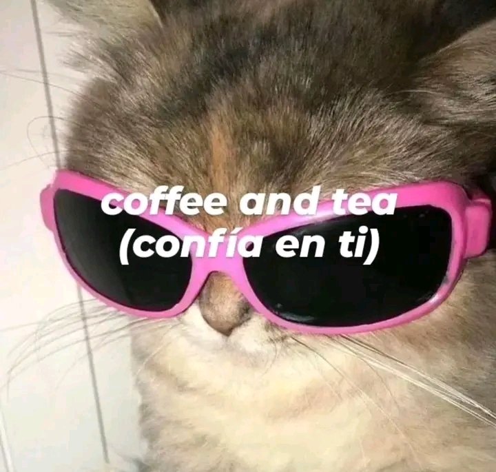 TheRealsusushi's tweet photo. Me alegra saber que no estoy tan jodida como mis colegas de trabajo. https://t.co/iDmt0jPzCk