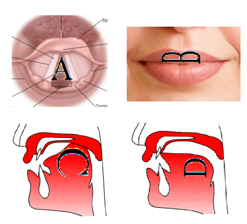 gyankotsu's tweet photo. "hangul represents the position of the speech organs" folks be like https://t.co/6S2hb9chHz