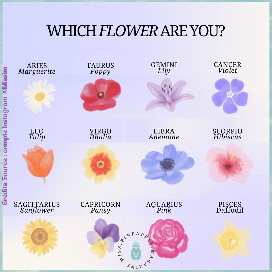 _MissPineapple's tweet photo. [MOOD] 

[🇫🇷] - Et vous, quelle plante éclatante vous représente au sein de ce merveilleux bouquet ? 🌸🌹🌺🌷🌻🪻
____

[🇬🇧] - And what bright plant represents you in this wonderful bouquet? 🌸🌹🌺🌷🌻🪻 https://t.co/CfoFRZCYdM
