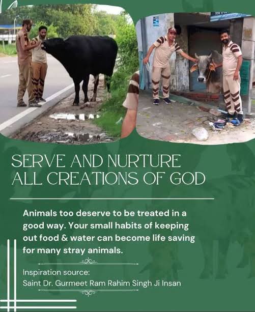 _Iam_Sahil's tweet photo. A kind heart with compassion for every living creature gets grace of God in abundance. So never get back when someone whether human or animal needs your support and affection.
#KindToAnimals Saint Dr MSG Insan https://t.co/acz5W6Jmz8