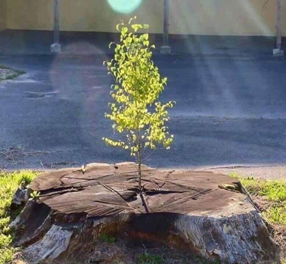 Siempre es posible volver a empezar ❤️