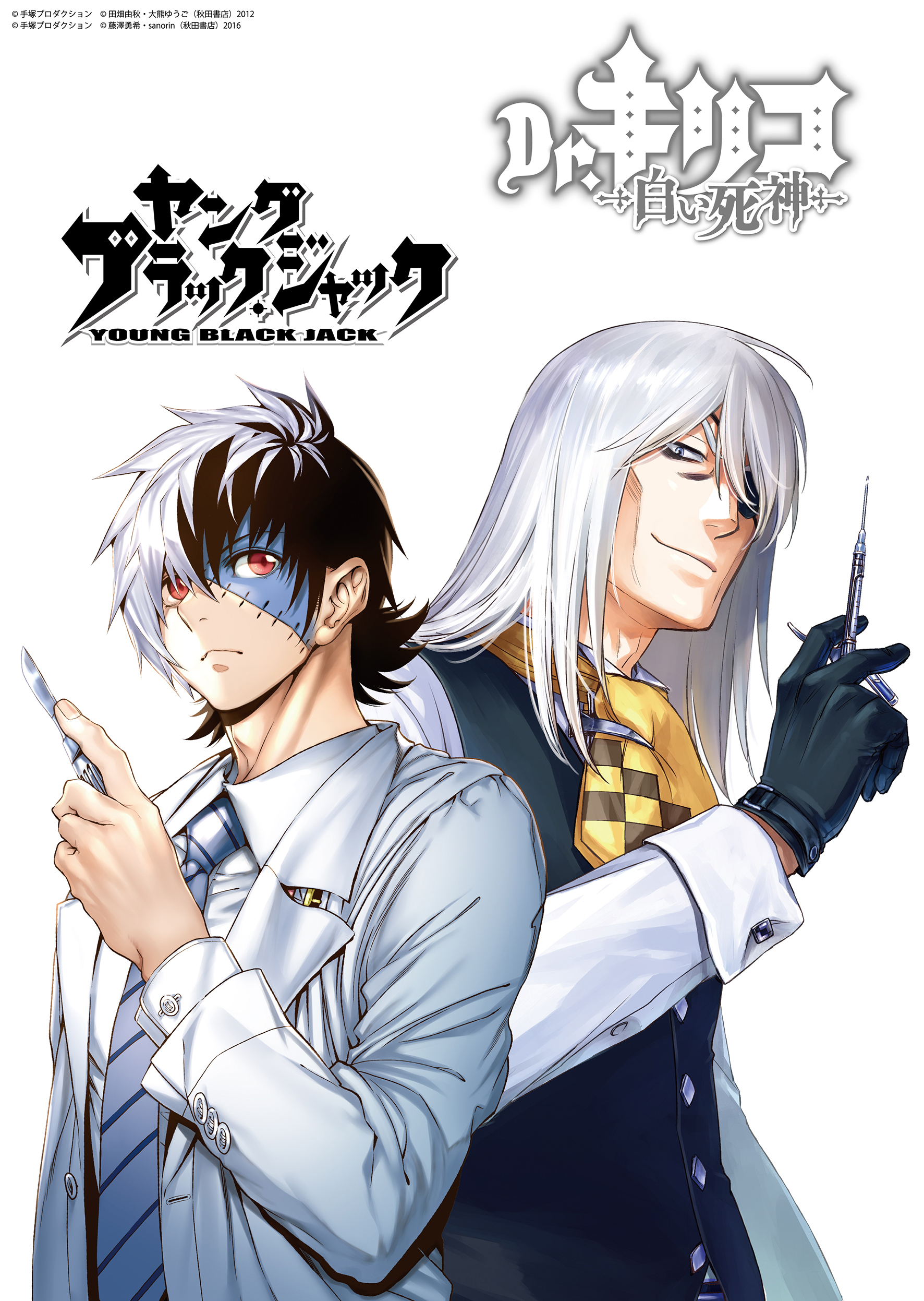 ヤング ブラック・ジャック(12): ヤングチャンピオン