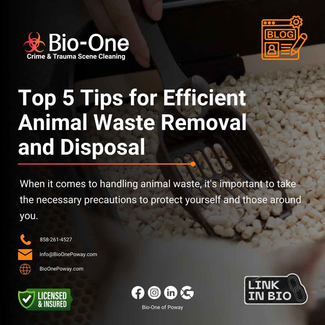 BioOnePoway's tweet image. To ensure that all animal waste is correctly removed and disposed of in a safe and effective manner, here are five top tips for efficient animal waste removal and disposal.

📰: bioonepoway.com/top-5-tips-for…

📧 Info@BioOnePoway.com
📞 858-261-4527

#bioone #bioonepoway #blog #news