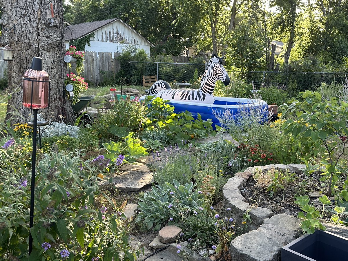 I have reached peak summer in the backyard 😂