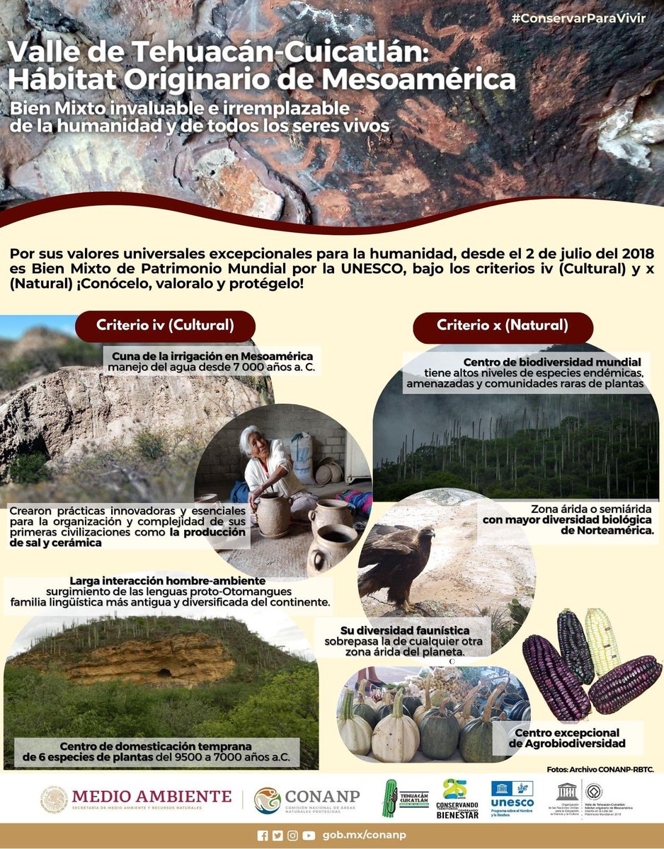 La Reserva de la Biosfera de Tehuacán- Cuicatlán nos regala paisajes inigualables. Un pedazo de las ANP de México aquí: tierrablanca.org/colecciones/ar…