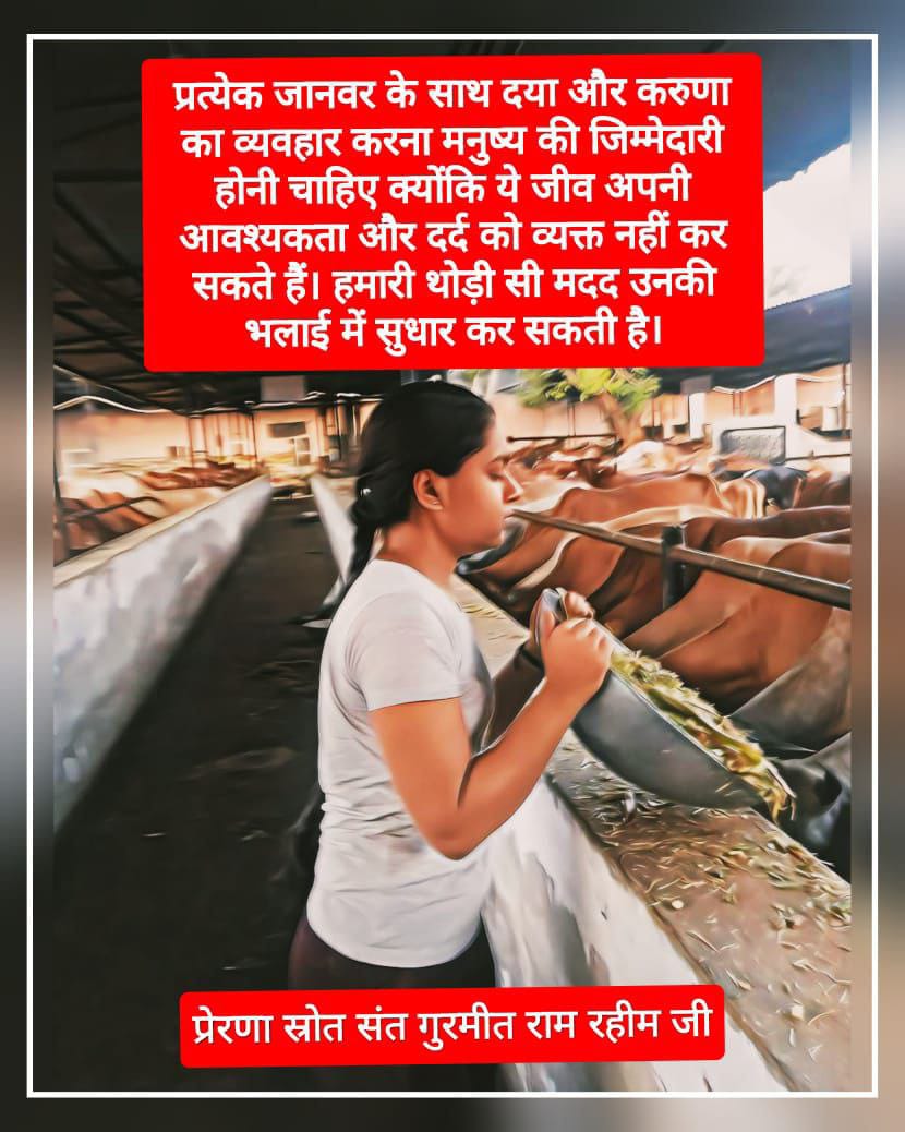 SukhmanderBrar0's tweet photo. Just as we take care of ourselves, it is our responsibility to protect and take care of voiceless animals. Lakhs of followers of Dera Sacha Sauda are following the teachings of Saint Dr MSG Insan and taking care of the animals by arranging fodder and water for them
#KindToAnimals https://t.co/rQGfm7cljt
