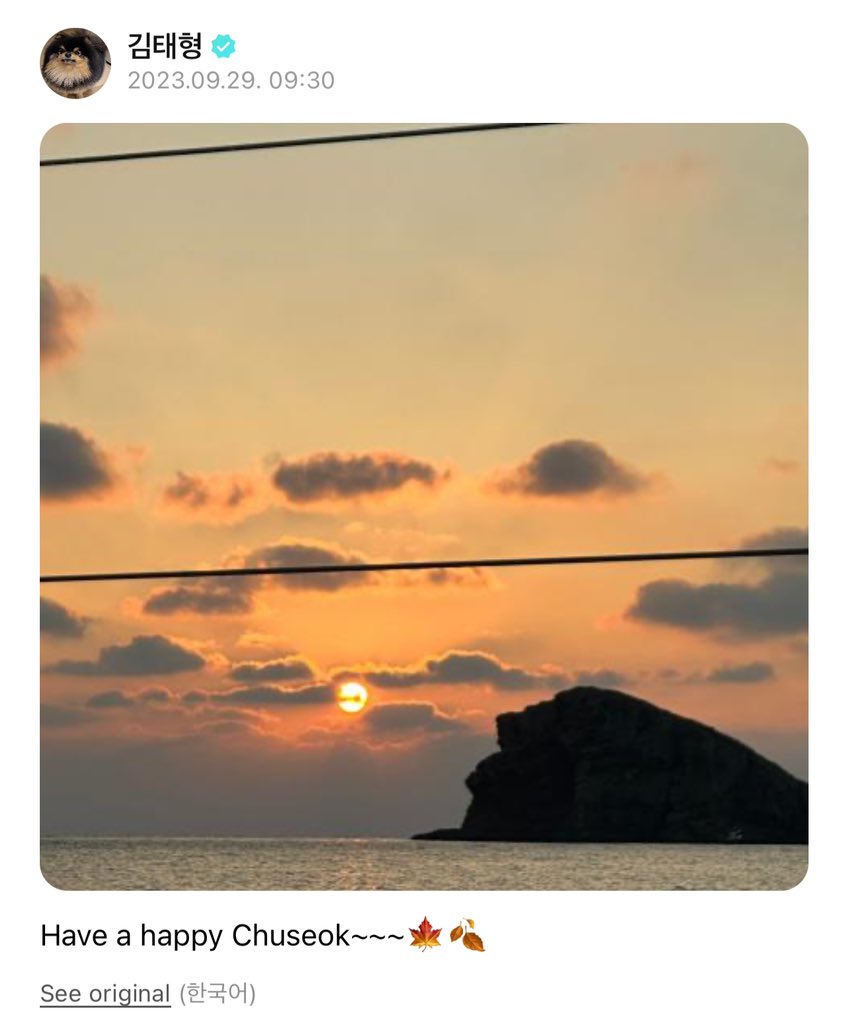 moni⁷ 𖠌 tweet media