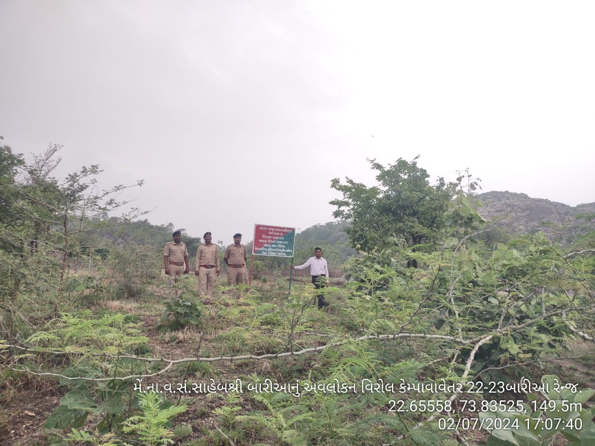 બારીયા રેંજ ના વાવેતરો ની મુલાકાત,બારીયા વન વિભાગ,બારીયા જી.દાહોદ <a href="/InfoGujarat/">Gujarat Information</a> <a href="/GujForestDept/">GujaratForestDept</a> <a href="/CCFVadodara/">Chief Conservator of Forest Vadodara</a>