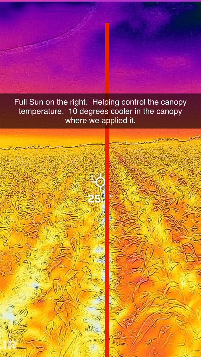 Pretty cool to capture things you can’t  see from the seat of your truck, or even in a tissue sample, but yet affects the crops potential a lot.  Credit to <a href="/MasonClaude5/">Mason Claude</a> for getting the trial and the image.