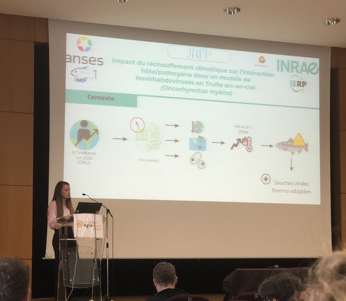 CLangevin_INRAE's tweet photo. Belle présentation d’@GourhannicElise hier aux #JRFP sur son projet de thèse coencadrée @IERP_aqua @Anses_fr, partenaires d’ @in_emerg #stressthermique #changementglobal #aquaculture #novirhabdovirus #emergence https://t.co/bh4YgEtdWv