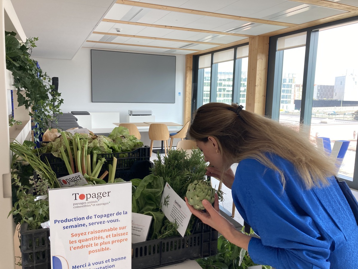 OVHcloudCareers's tweet photo. Les collaborateurs de Paris bénéficient de légumes et aromates des toits végétalisés du bureau, entretenus par Topager. En libre accès et livrés chaque semaine! 🥬🌿 Merci à @Topager pour cette initiative! 🌱 #OVHcloud #GreenWorkspaces #Topager https://t.co/xcqxuuD4JF
