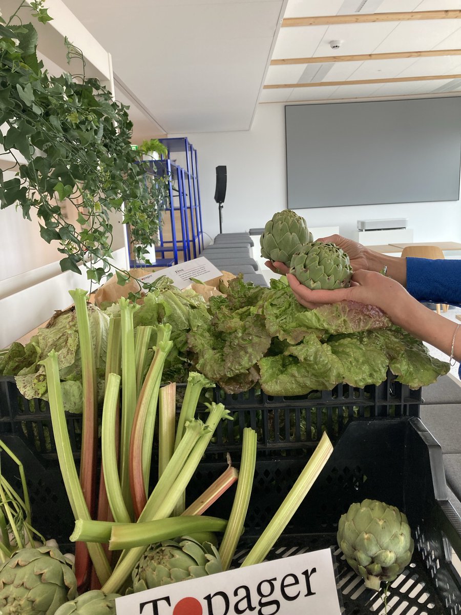 OVHcloudCareers's tweet photo. Les collaborateurs de Paris bénéficient de légumes et aromates des toits végétalisés du bureau, entretenus par Topager. En libre accès et livrés chaque semaine! 🥬🌿 Merci à @Topager pour cette initiative! 🌱 #OVHcloud #GreenWorkspaces #Topager https://t.co/xcqxuuD4JF
