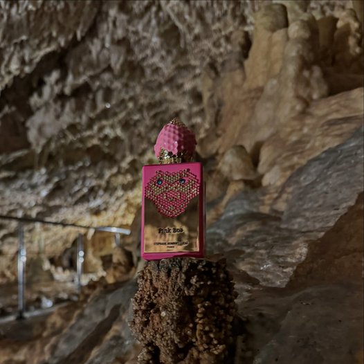 rosinaperfumery's tweet photo. Pink Boa is traveling again 📷
Pink Boa is a tangy pink swirl where a fragrant snake will embrace you with its powdery trail, bringing with it the aromas of summer.
#rosinaperfumery #pinkboa #stephanehumbertlucas
#mani #caves #diroscaves #vlyxada https://t.co/yFClao4jOe