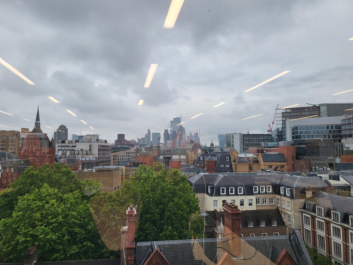 titian73 🇳🇵🐾 💛💙 tweet media