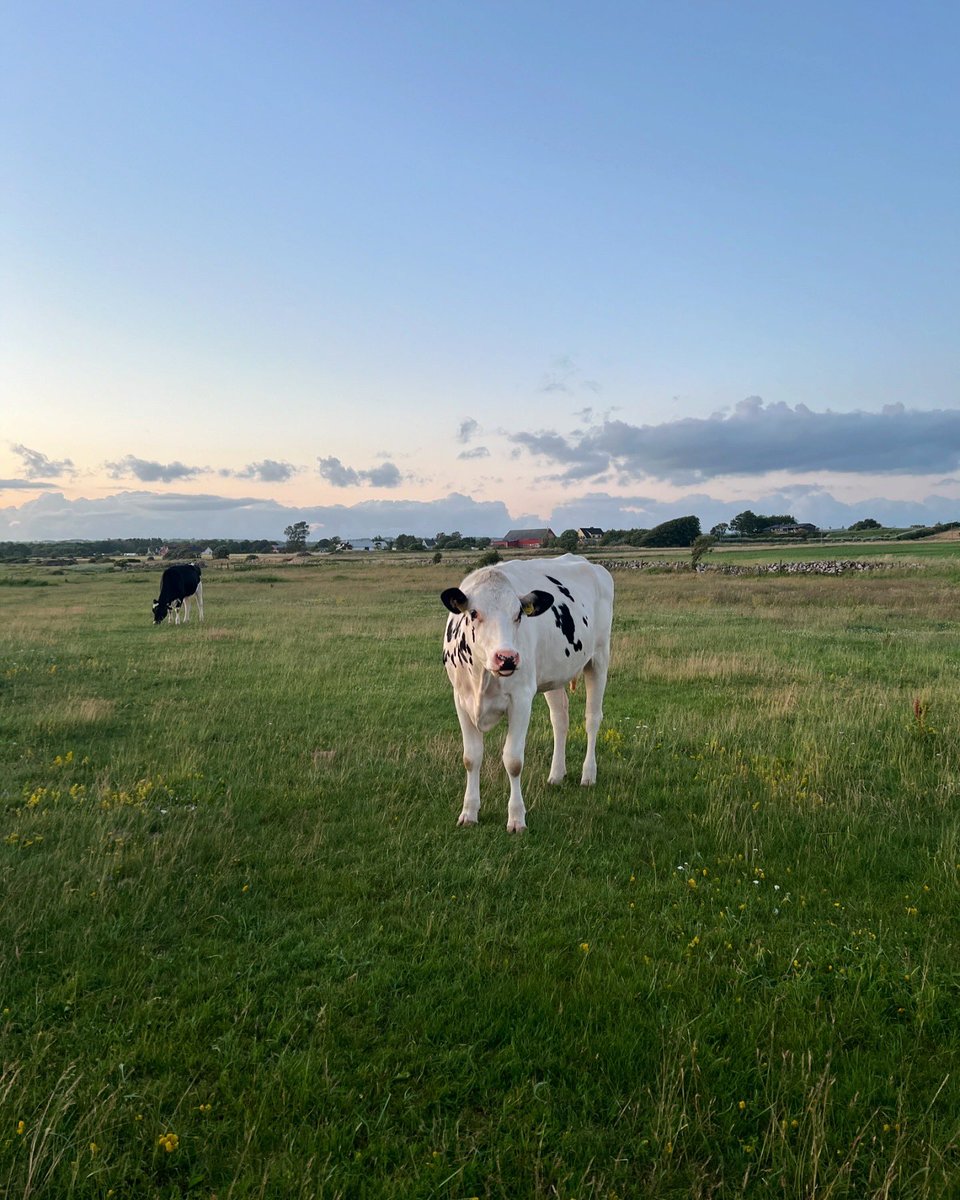 Thomas Kuc tweet media