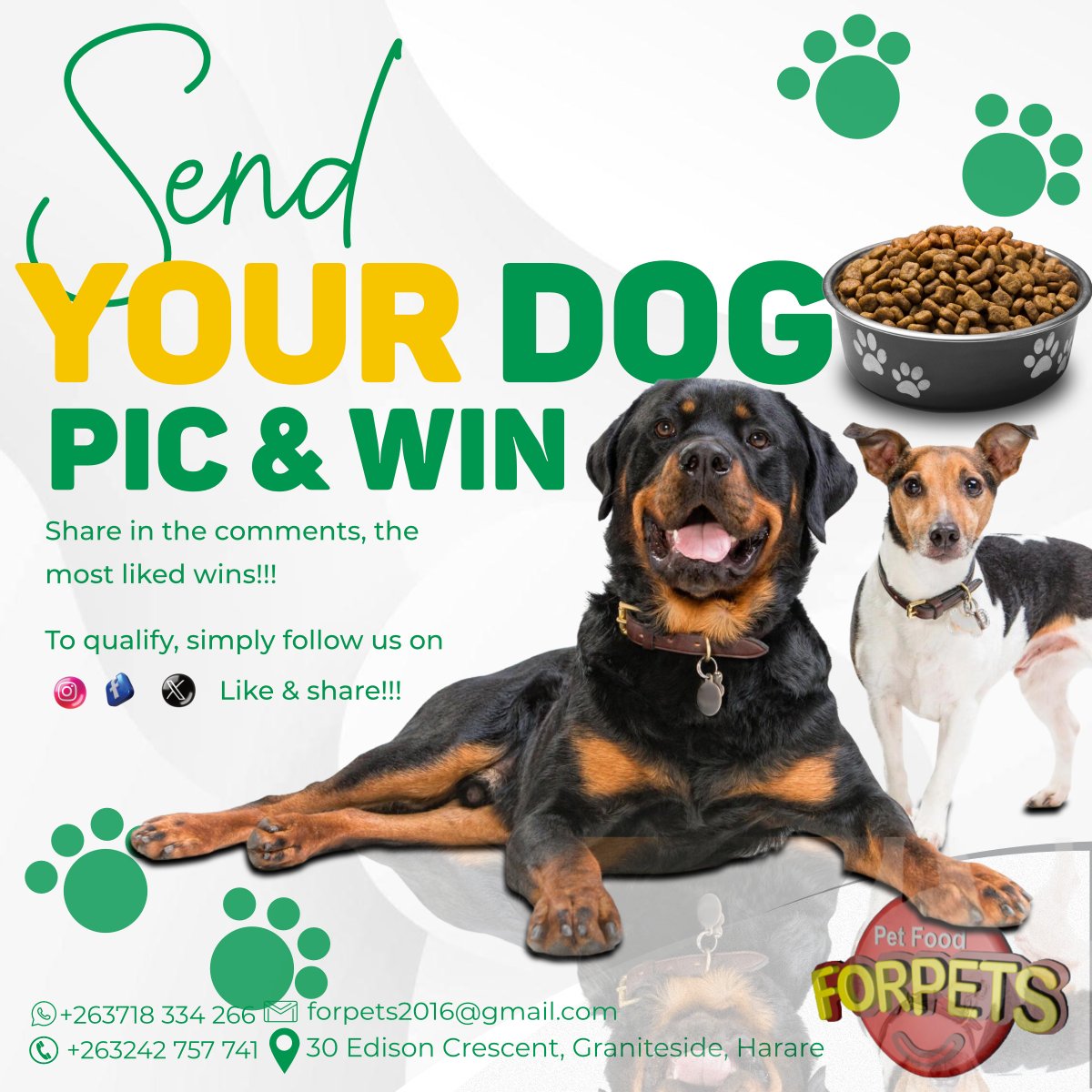 ForpetsF54287's tweet image. Post Your Dog Pic and Win Dog Food &amp;amp; Accessories
Like, share, follow us and post a picture of your dog, You could be our lucky winner for this month&apos;s competition.
Remember to share with friends and family!!!! Let&apos;s Go!
#DogPicCompetition #CareForYourFriend #Forpets #PremiumFood