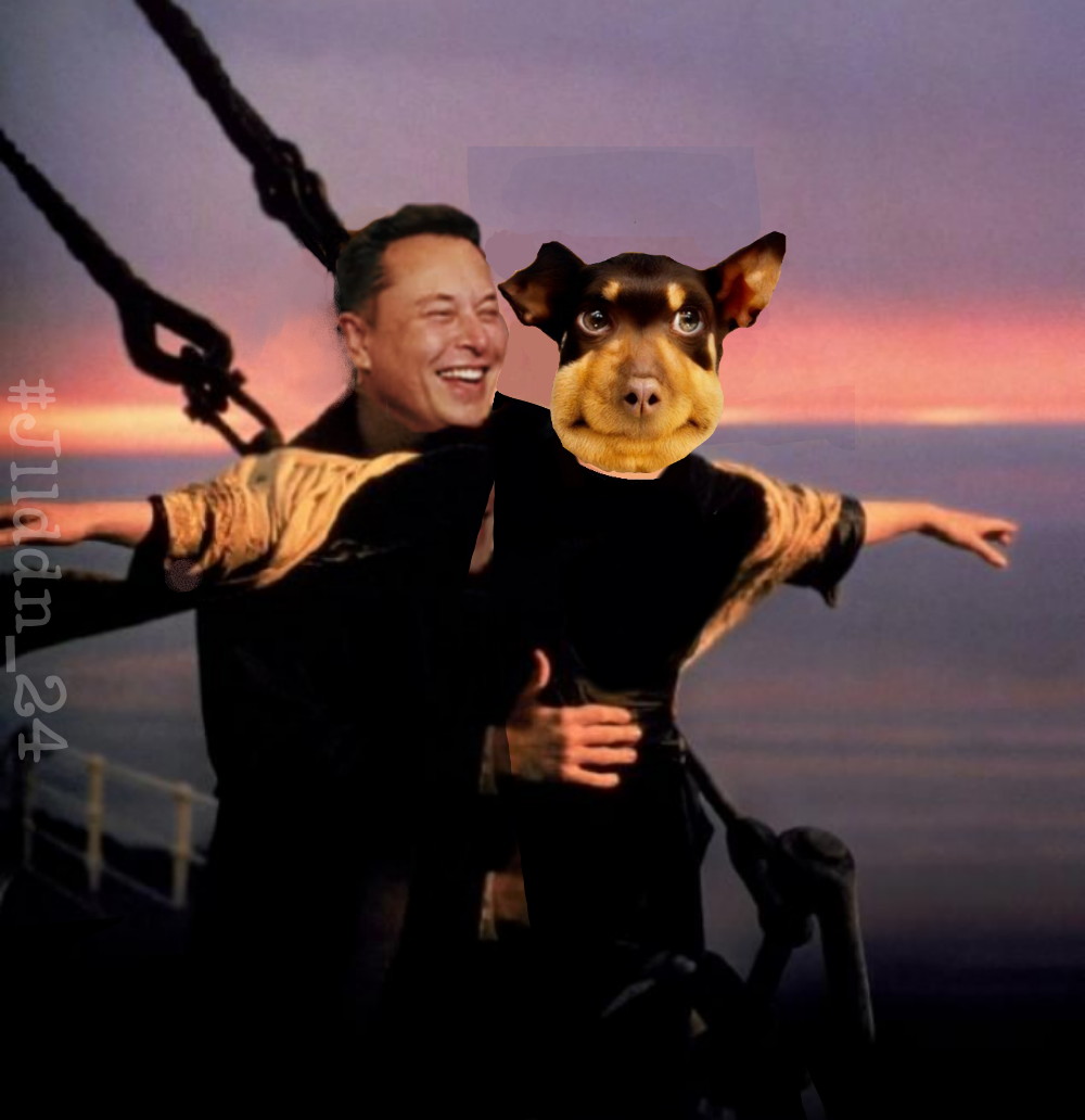 Kuma yarisi 🦝 tweet media