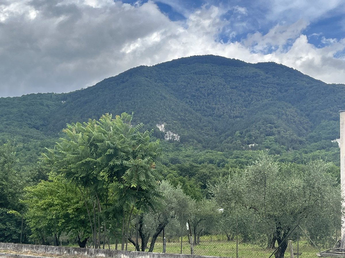 Seth Magle tweet media