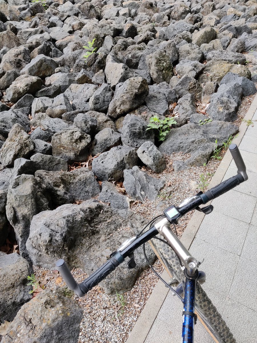 Some textures that I liked from my trip to Olot