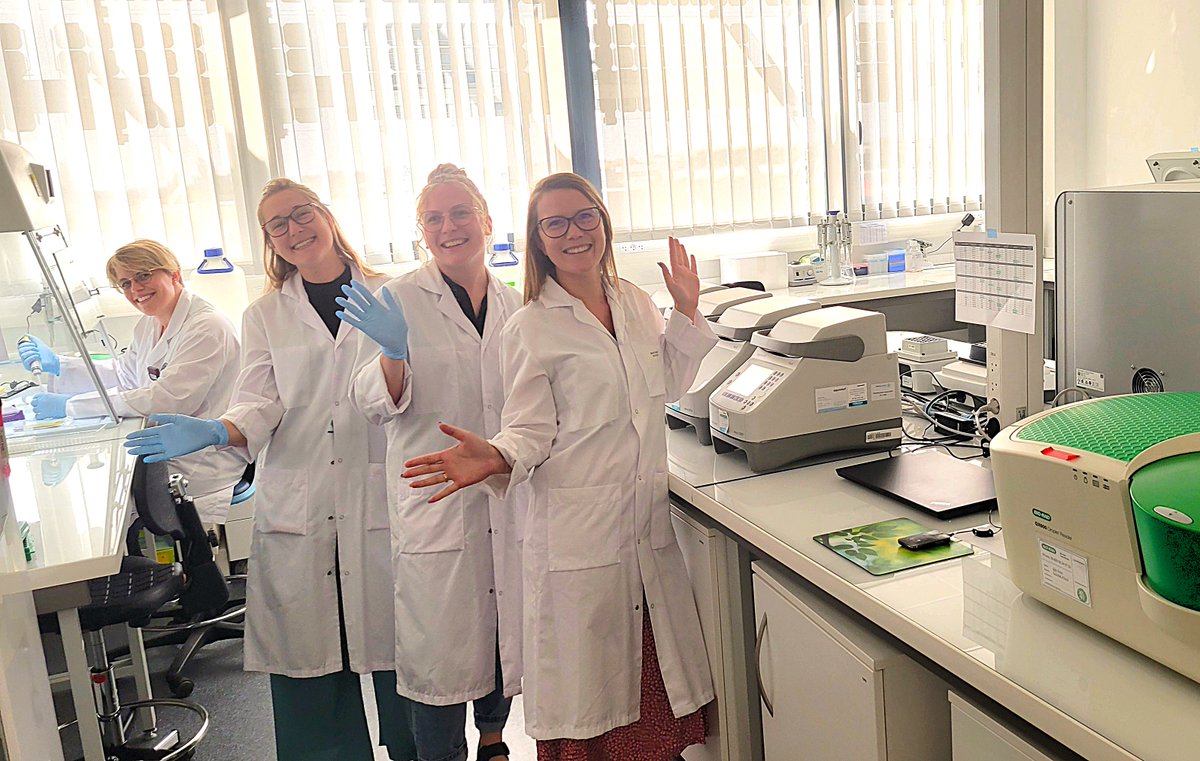 The ladies from our service platform are thrilled to be working in a brand new space! Divided in 3 seperate lab rooms, this spacious and modern environment enables to meet our client's increasing quality expectations!!
#officemove #stemgenomics