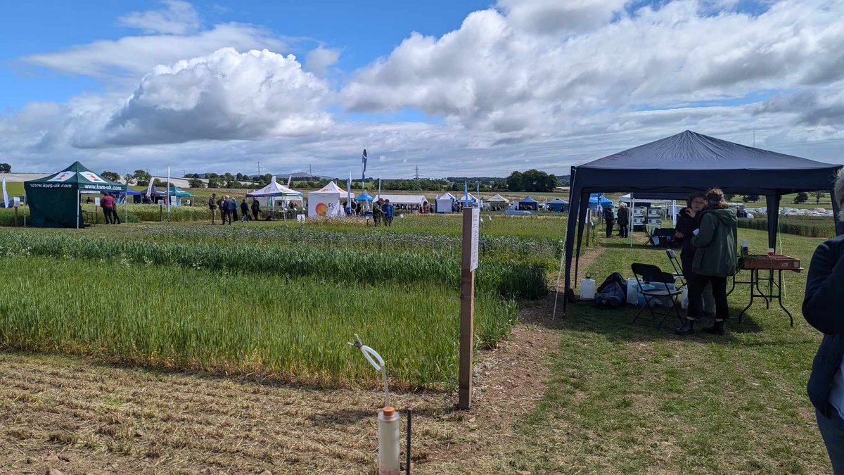 PlantEcoHutton tweet media