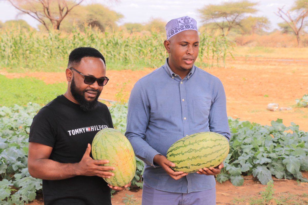 theakyar's tweet photo. Empowered by @theGCERF  El-Nino recovery program via @tendasasa  and @VisionWorthy , Deqah women in Wajir thrive as farmers, addressing climate change and building community trust. #ClimateAction #P/CVE https://t.co/BOOwtruwG3