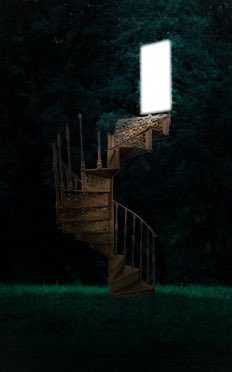 ✨PENROSE✨

In 1997, Julia Calloway climbed a spiral staircase in the woods and vanished. The only witness: her young son, Nico. The case was never solved.

Now grown, Nico returns to the site of her disappearance. What awaits is a mystery 100 years in the making.

#questpit #Q