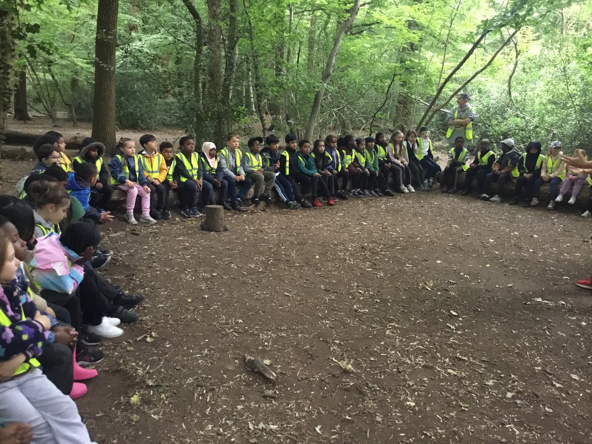 Goldfinch Primary tweet media