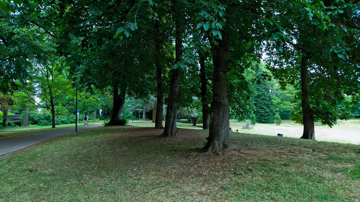 Intelligent Lighting tweet media