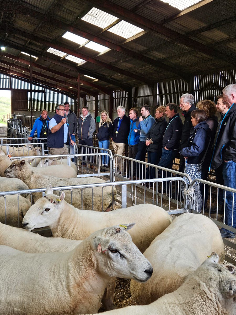 H2020-smart tweet media