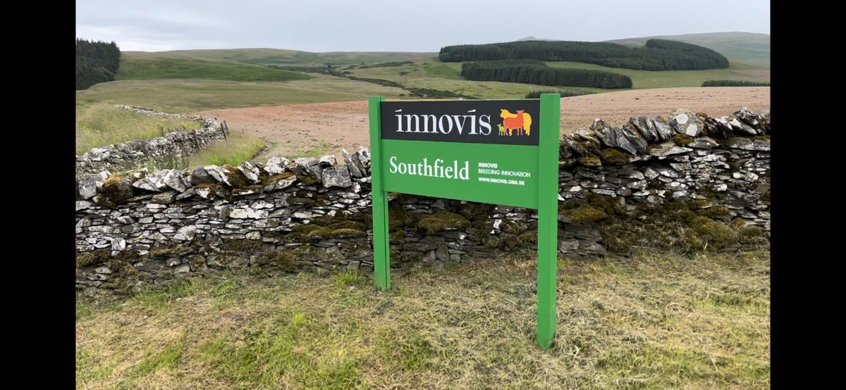 Day 1 of <a href="/H2020Smart/">H2020-smart</a>- great visit of <a href="/InnovisLtd/">Innovis Ltd</a> farm in Southfield! How to use tech for sheep breeding.  <a href="/SRUC/">SRUC</a> <a href="/MoredunComms/">The Moredun Foundation</a> <a href="/Idele_CEB/">Idele - Capteurs-Equipements-Bâtiments</a> <a href="/InstitutElevage/">Institut de l'élevage - Idele</a> @NIBIO_no <a href="/TeagascSheep/">TeagascSheep</a>