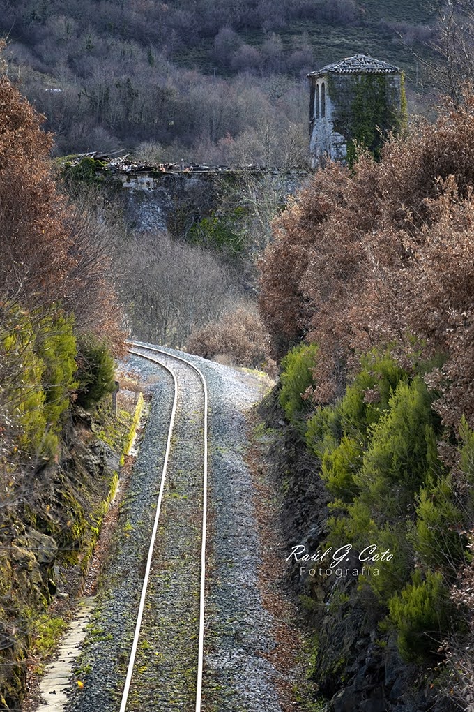 RaulGCoto's tweet photo. Rozas (Burgos) @renfe #plantsmakepeoplehappy #plants #plantshelfie #plantprotein #plantbasednutrition #plantaselectricas #plantwall #plantsnotpills #roadsurface #plantclickcommunity #plantscommunity #plantdyed #forest #woods #ig_landscapes #landscapeslovers #vegansnacks https://t.co/BdugncZzy5