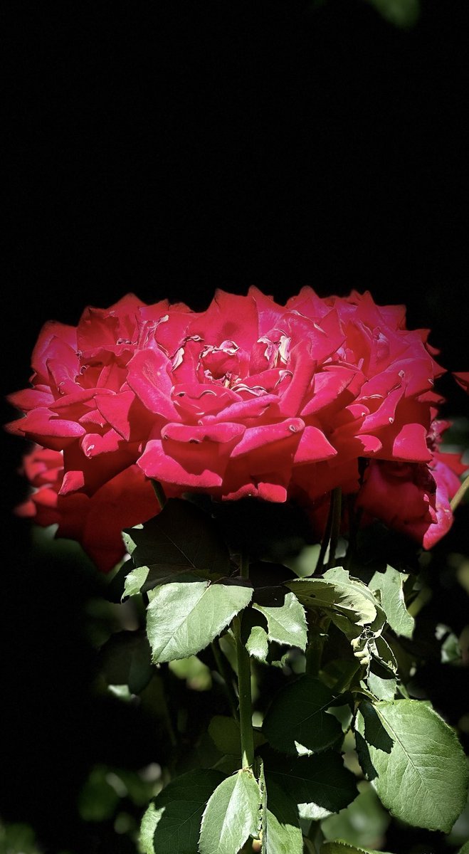 educationtr's tweet image. #July3rd🌍