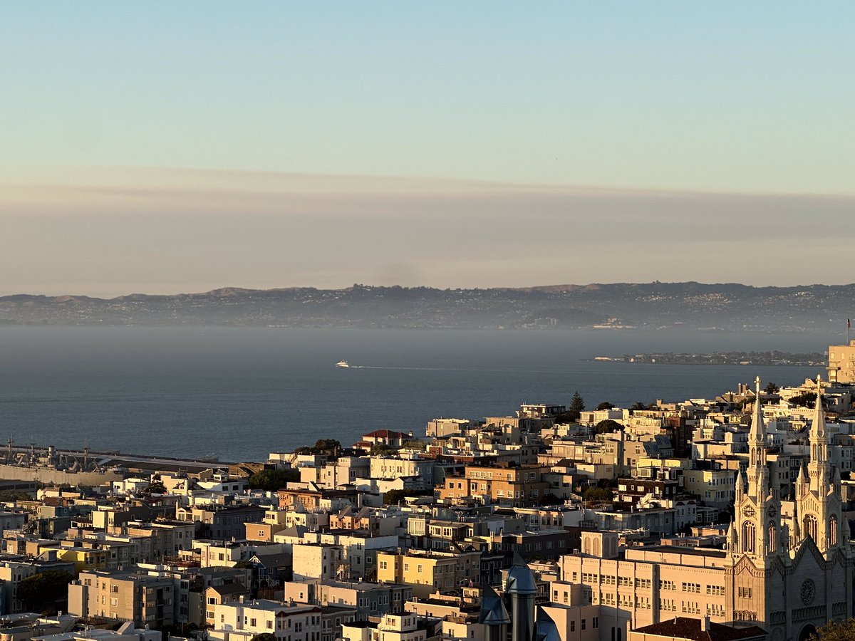 Darren Peck tweet media