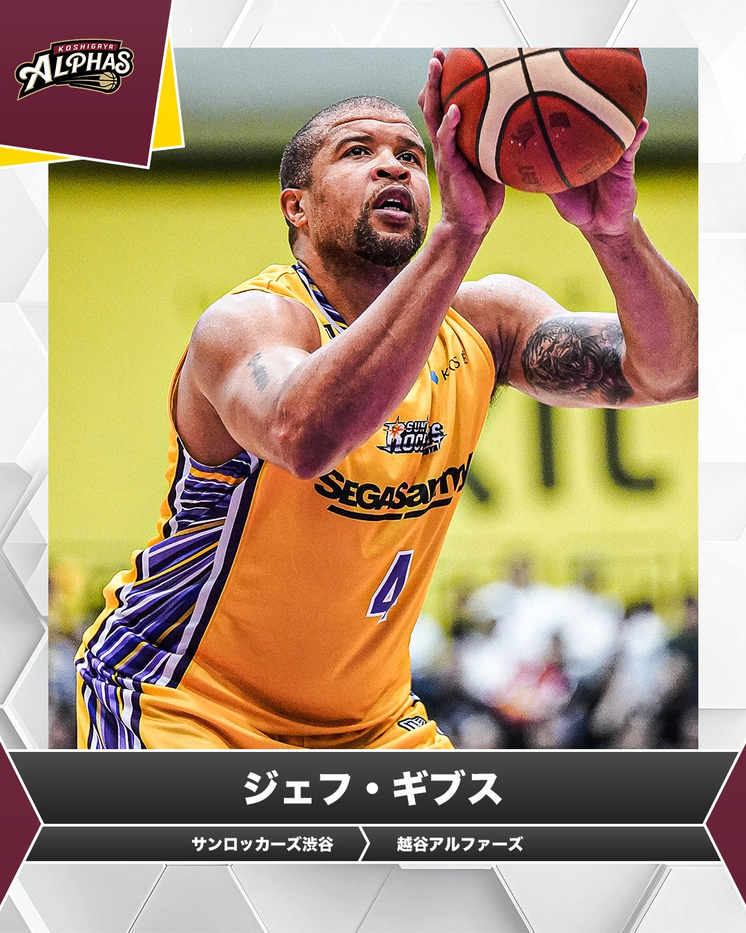 bリーグトレーディングカード 越谷アルファーズ ジェフギブス
