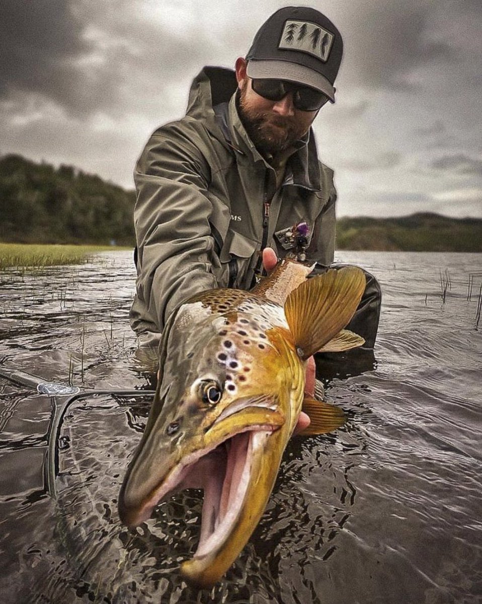 RepYourWater tweet media